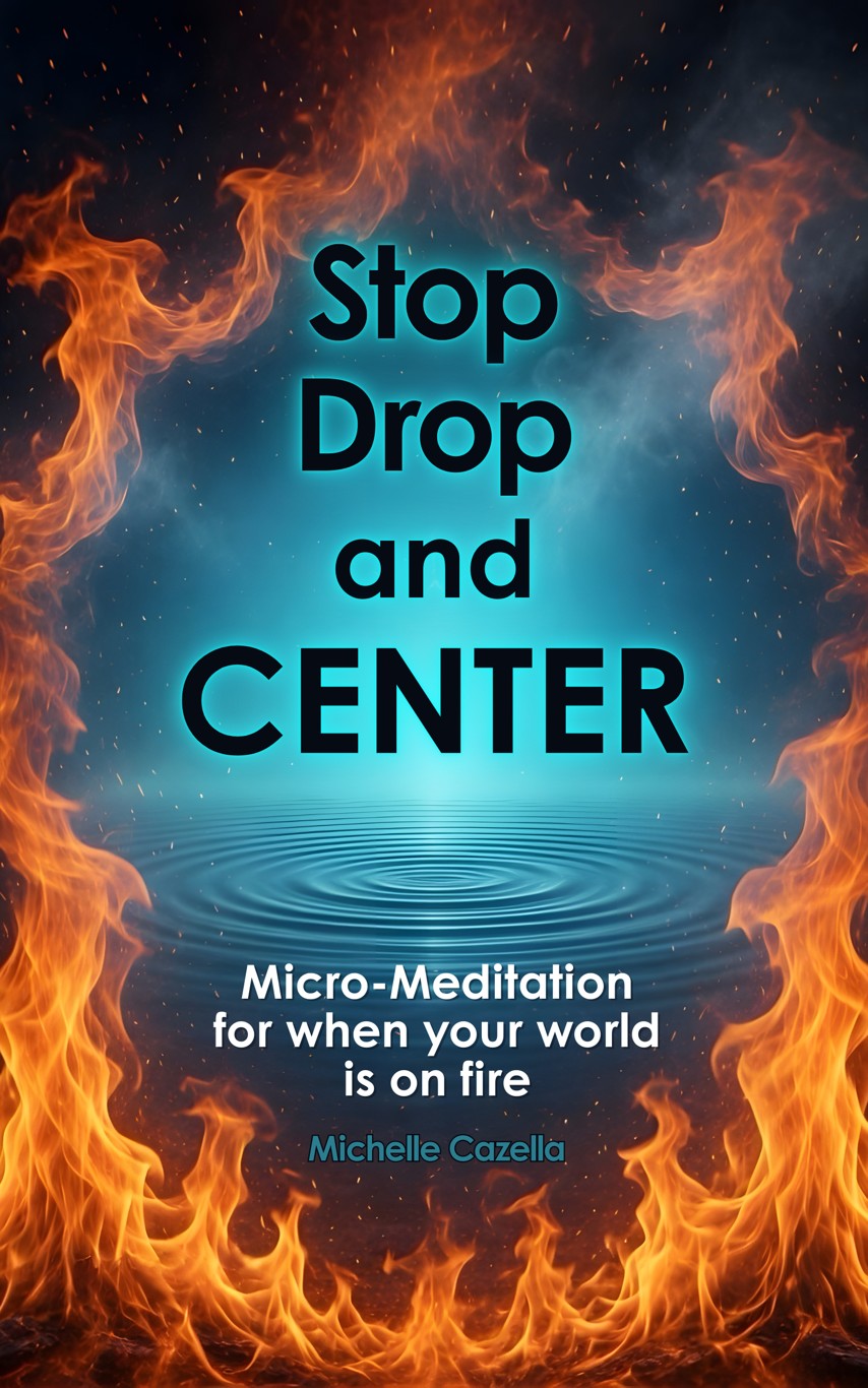 Stop Drop and Center book cover